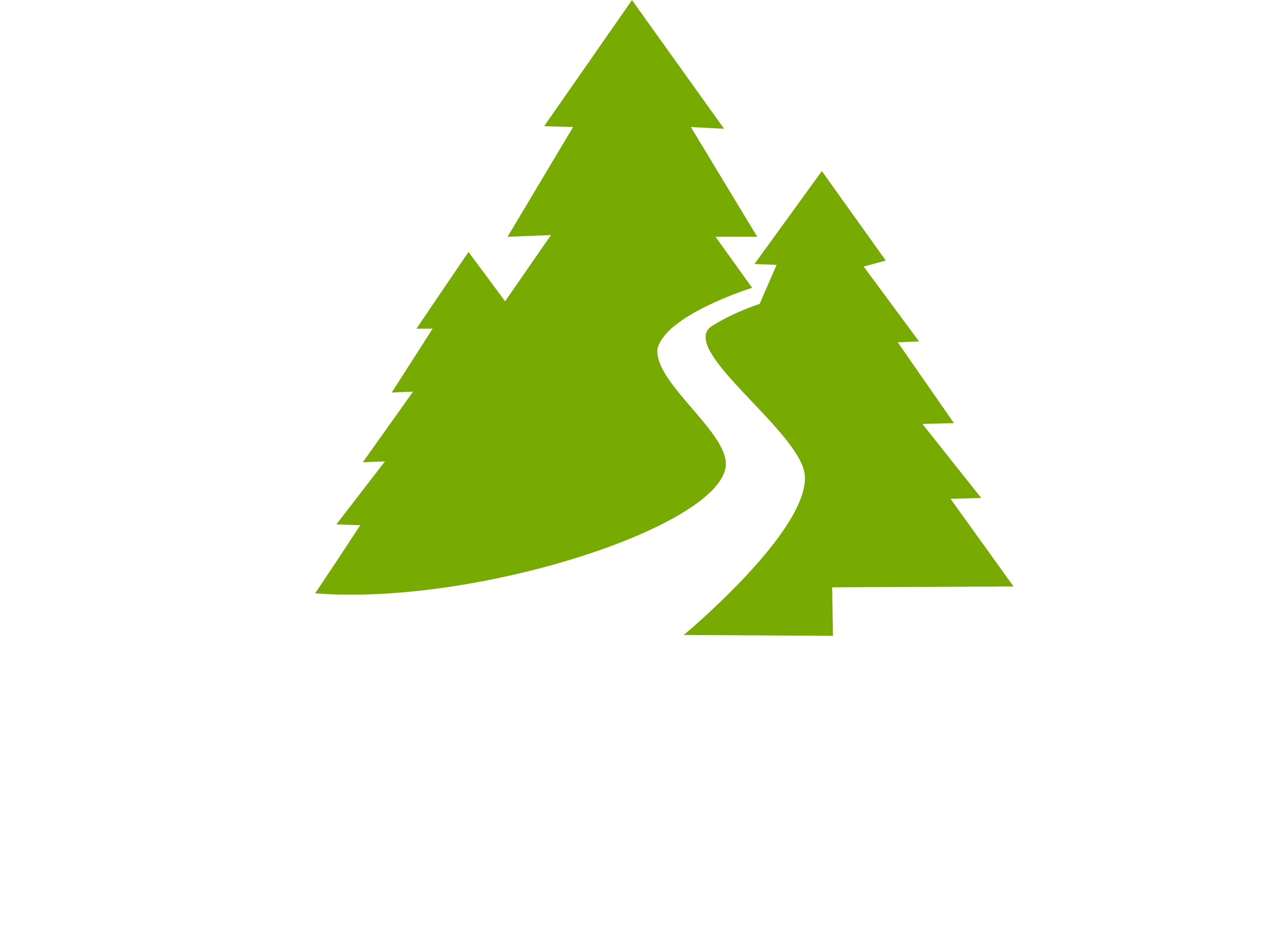 Fahrni Wegebau